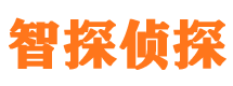 集宁市侦探公司